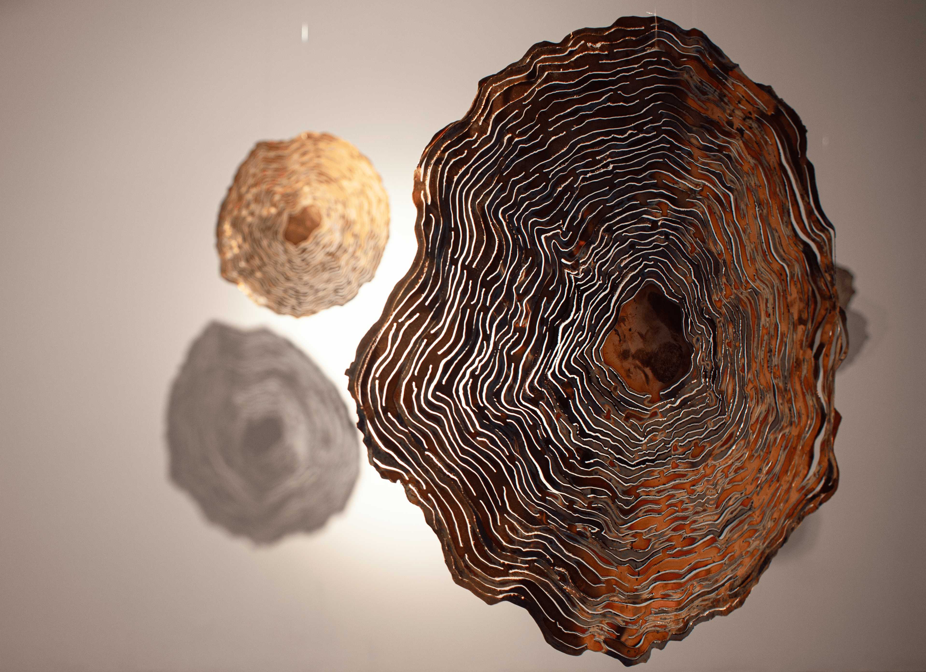 Memories — 2024 — 2025